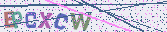 Type the letters shown in the picture