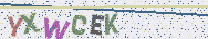 Type the letters shown in the picture