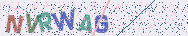 Taper les lettres montr�es dans l'image