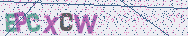 Type the letters shown in the picture